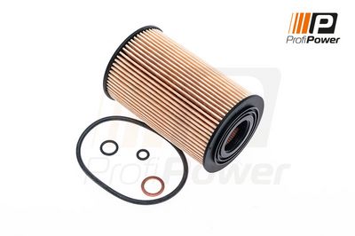 alyvos filtras 1F0087 ProfiPower