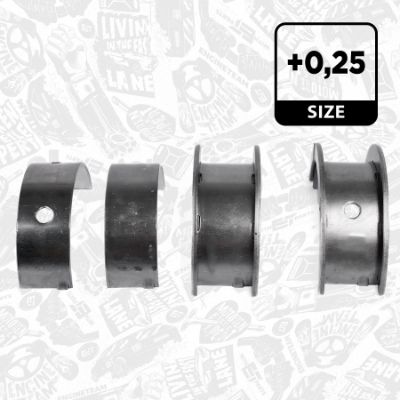 SET RULEMT ARBORE COTIT ET ENGINETEAM LH002225 2