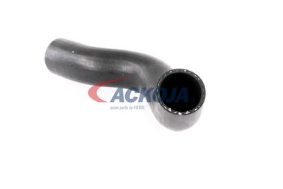 FURTUN EAR SUPRAALIMENTARE ACKOJA A380307 18