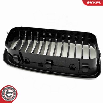GRILA RADIATOR ESEN SKV 66SKV212 8