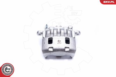 Brake Caliper 42SKV441