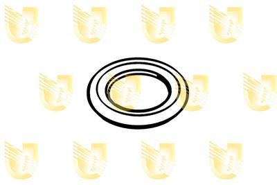Уплотнительное кольцо, резьбовая пробка маслосливн. отверст. UNIGOM 162060