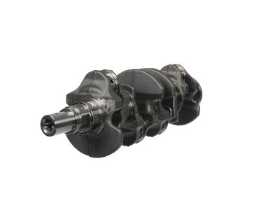 ARBORE COTIT ET ENGINETEAM HK0237 13