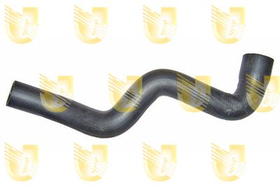 UNIGOM S2515 Воздушный патрубок для FIAT DOBLO вэн (119_, 223_) 1.9 JTD (223AXE1A) UNIGOM S2515 Воздушный патрубок для FIAT DOBLO вэн (119_, 223_) 1.9 JTD (223AXE1A)