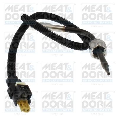 czujnik, temperatura spalin MEAT & DORIA 12831