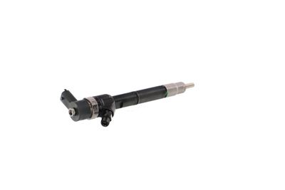 INJECTOR REMANTE 002003001713R 33