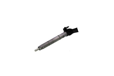 INJECTOR REMANTE 002003001368R 6