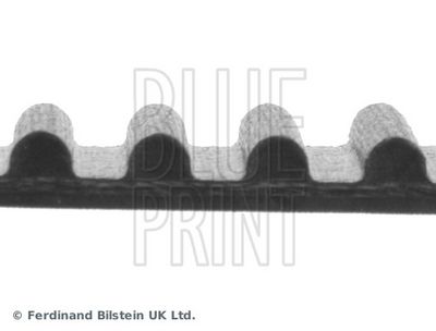 ZAHNRIEMEN BLUE PRINT ADT37528 1