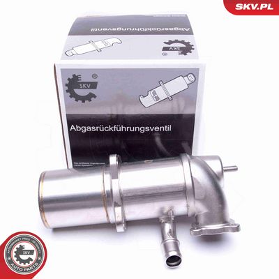 SUPAPA EGR ESEN SKV 14SKV222