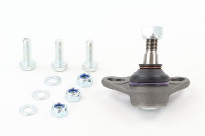 Przegub mocujący / prowadzący CONTINENTAL CTAM SUG1036