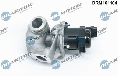 Zawór EGR DR.MOTOR AUTOMOTIVE DRM161104 produkt