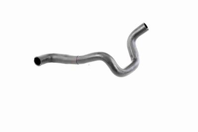 KüHLERSCHLAUCH VAICO V251790 5