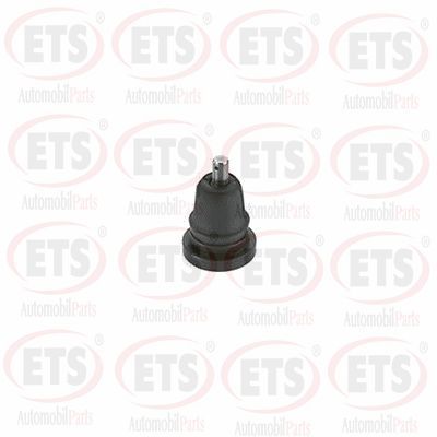 Шарнири ETS 18.BJ.258
