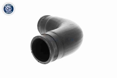 LADELUFTSCHLAUCH VAICO V102887 4