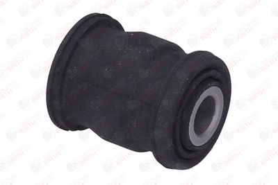 SUPORT TRAPEZ BIRTH 20015 5