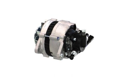 GENERATOR / ALTERNATOR REMANTE 011003000200R 8