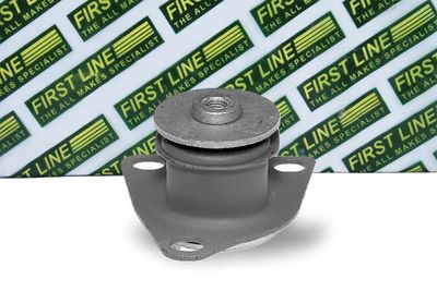 окачване, двигател FIRST LINE FEM3139