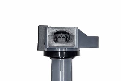 Zapalovací cívka BorgWarner (BERU) ZSE308