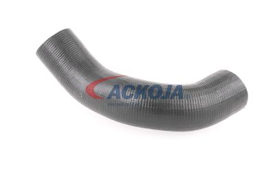 FURTUN EAR SUPRAALIMENTARE ACKOJA A380298 38