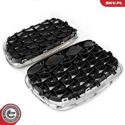 GRILA RADIATOR ESEN SKV 66SKV293 3