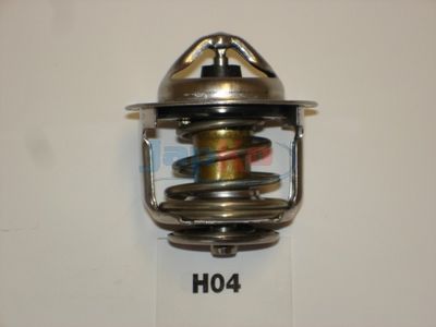 Thermostat, Kühlmittel