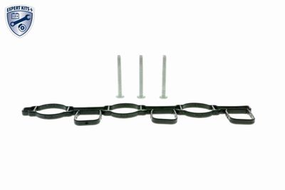 MODUL CONDUCTA ADMISIE VAICO V103948 1