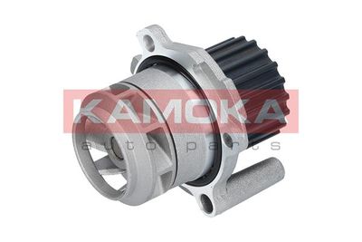 Water Pump, engine cooling T0251