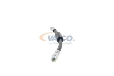 FURTUN FRANA VAICO V104135 14