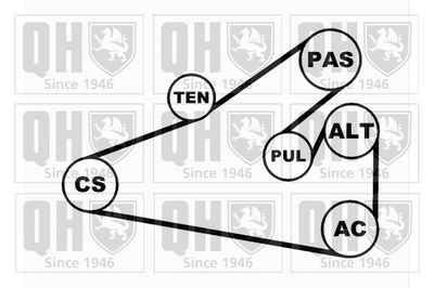 SET CUREA TRANSMISIE CU CANELURI QUINTON HAZELL QDK34 1