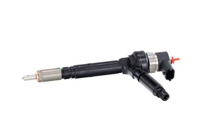 INJECTOR REMANTE 002003001094R 10