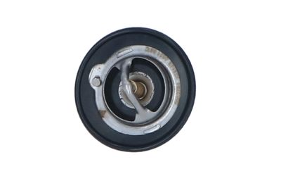TERMOSTAT LICHID RACIRE NRF 725143 9