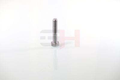 SURUB CAPAT DE AX GH GH392360 45