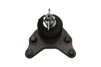 Kavo Parts Šarnyras / girgždukas