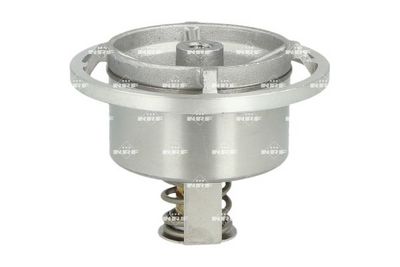 TERMOSTAT LICHID RACIRE NRF 725017 2