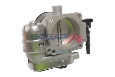 CARCASA CLAPETA BOGAP P6319103 6