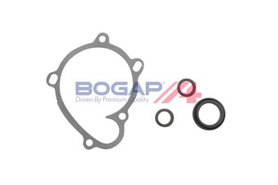 POMPă DE APă RăCIRE MOTOR BOGAP V4234101 4