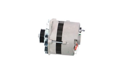 GENERATOR / ALTERNATOR REMANTE 011003000065R 18