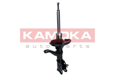 Shock Absorber 2000672