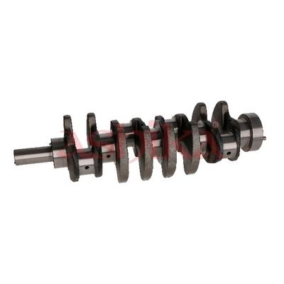 ARBORE COTIT ASHIKA 18KI000 1