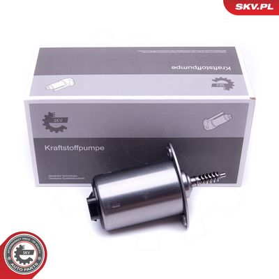 Řídicí prvek, excentrická hřídel (variabilní zdvih ventilu) SKV 96SKV089
