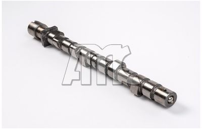 NOCKENWELLE AMC 647015 2