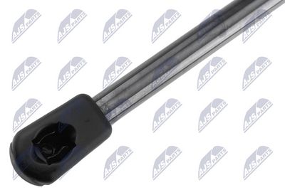 AMORTIZOR PORTBAGAJ NTY AEVW121 1