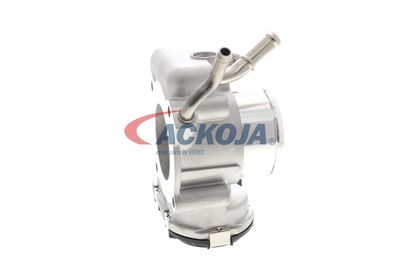 CARCASA CLAPETA ACKOJA A52810014 46