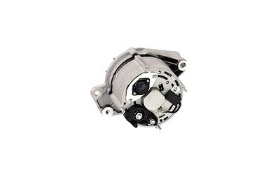 GENERATOR / ALTERNATOR REMANTE 011003000469R 25