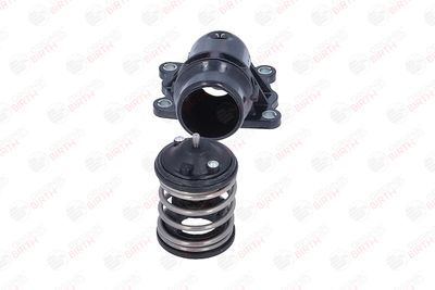 FLANSA LICHID RACIRE BIRTH 81102 4