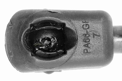 GASFEDER KOFFER-/LADERAUM VAICO V249654 2