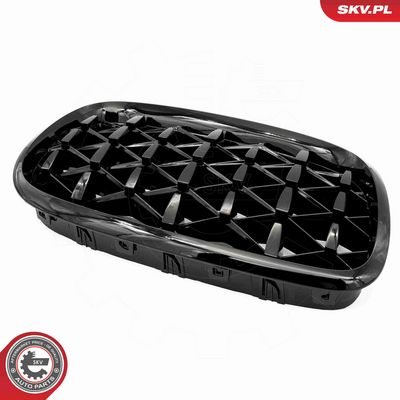 GRILA RADIATOR ESEN SKV 66SKV291 5