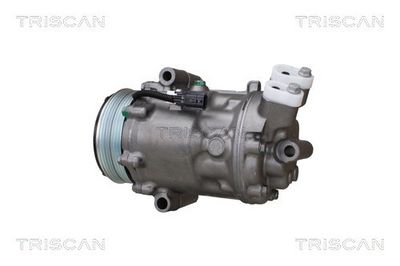 COMPRESOR CLIMATIZARE TRISCAN 902025034 2
