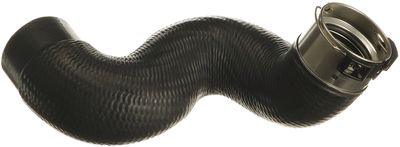 FURTUN EAR SUPRAALIMENTARE