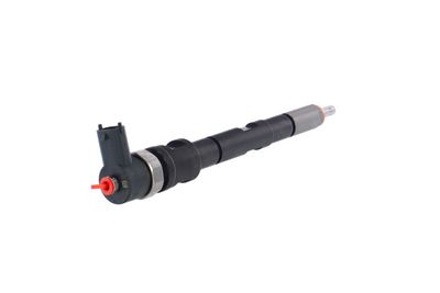 INJECTOR REMANTE 002003001196R 33